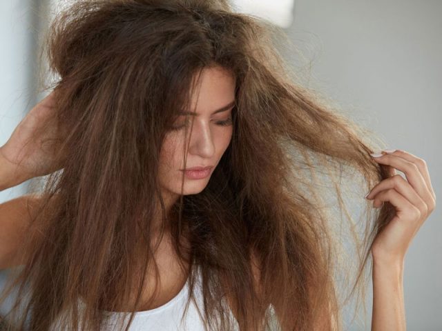 Capelli secchi e danneggiati dopo l’estate? Rigenerali in pochi minuti con la bava di lumaca